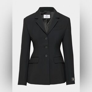 Aritzia Babaton Standout Blazer